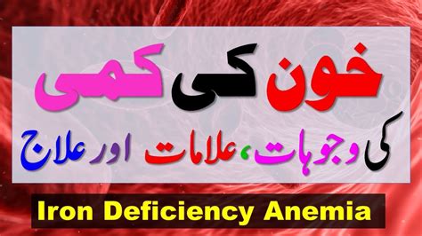 Iron Deficiency Anemia Symptoms Causes And Treatment With Natural Foods Hindi Urdu Youtube