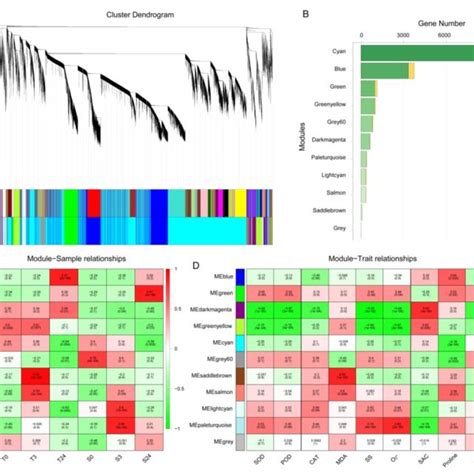 Weighted Gene Coexpression Network Analysis Wgcna Of Degs