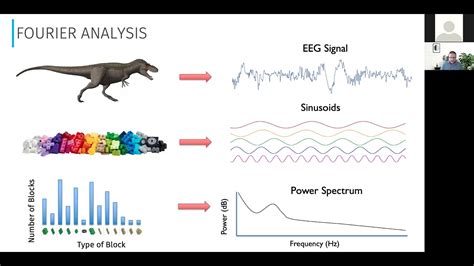 Eeg Spectral Analysis