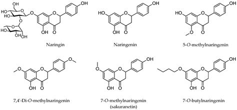 Molecules Free Full Text Synthesis And Biological Activity Of Novel