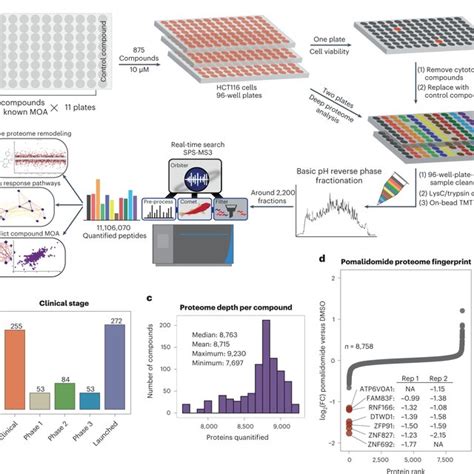 A 96 Well Plate Based Platform For Comprehensive Proteome Analysis Of