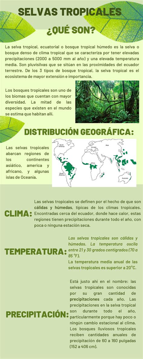 JALA Act03 Infografia SELVAS TROPICALES QUÉ SON DISTRIBUCIÓN