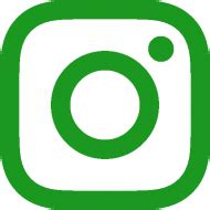 Green Instagram Logo Transparent Png Stickpng Images