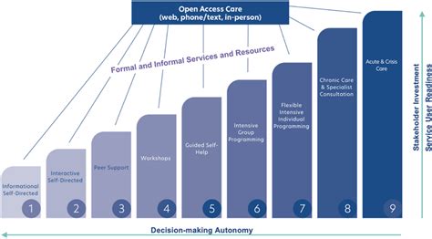 The Stepped Care 2 0 Intervention Steps A Visual Representation Of The