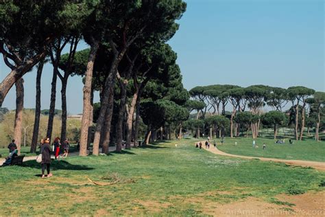 Rome S Iconic Pine Trees An American In Rome