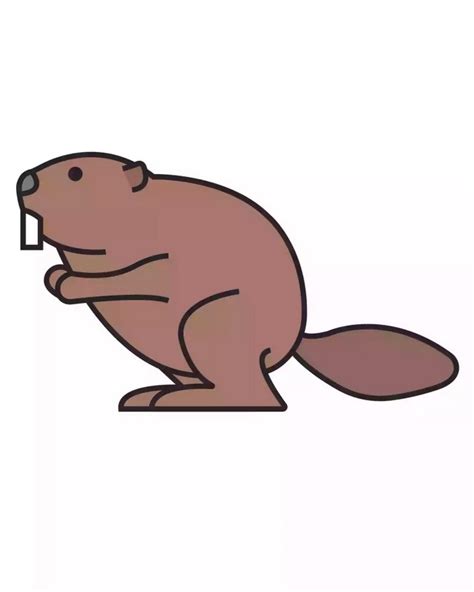 20 Beaver Drawing Ideas - How To Draw A Beaver - DIYnCrafty