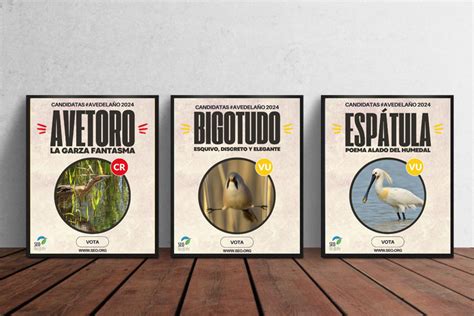 Elige Ave Del A O Seo Birdlife