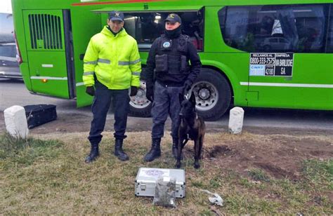 Secuestraron Marihuana Que Se Encontraba Dentro De Una Encomienda La