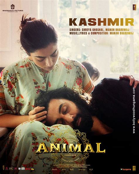 Animal First Look - Bollywood Hungama