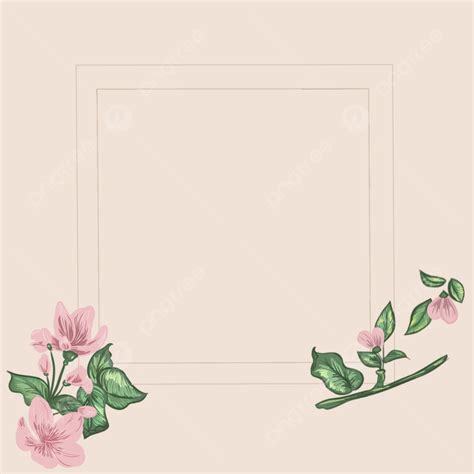 Pink Flowers Minimalistic Background, Pink, Flower, Simple Background ...