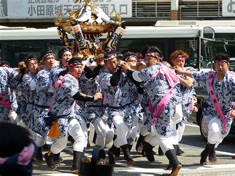 Odawara Mikoshi Odawara Guide