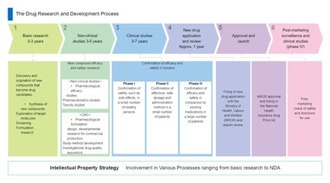 Drug Development Process Flowchart Edrawmax Template