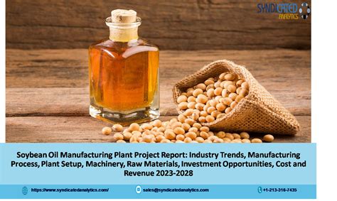 Soybean Oil Manufacturing Plant 20232028 Project Report Plant Cost Business Plan Cost And