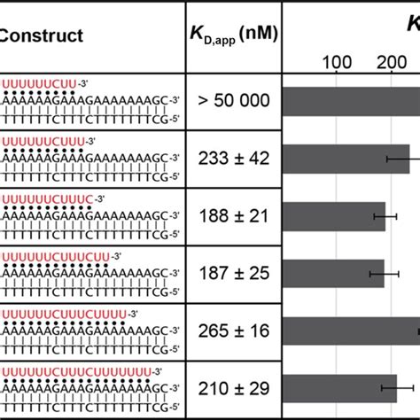 Emsa Measurements Of The Stability Of R•d D Triple Helices As The