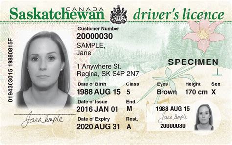 Sgi Offering Option To Leave Sex Designation Blank On Sask Drivers Licences Photo Id