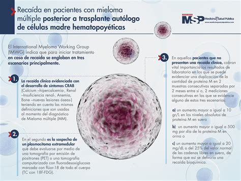 Recurrencias En Mieloma M Ltiple Qu Hacer