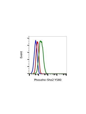 Phospho Shp2 Tyr580 4A2 Rabbit MAb APC Conjugate Abwiz Bio