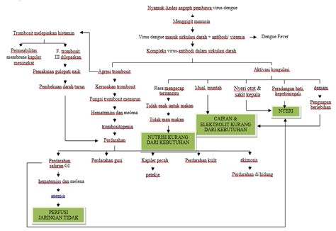 Pathway Dhf