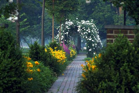 Rosedale Cemetery - Bosenberg