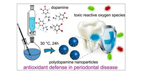 Polydopamine Nanoparticles As Efficient Scavengers For Reactive Oxygen