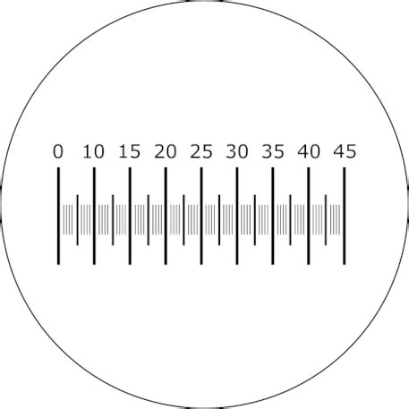 Method Ocular Micrometer Procedures And Guidelines