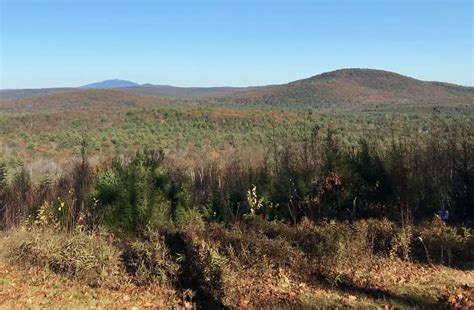 Best Camping in and near Mount Grace State Forest