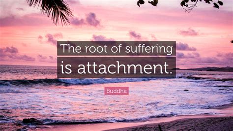 Buddha Quote The Root Of Suffering Is Attachment