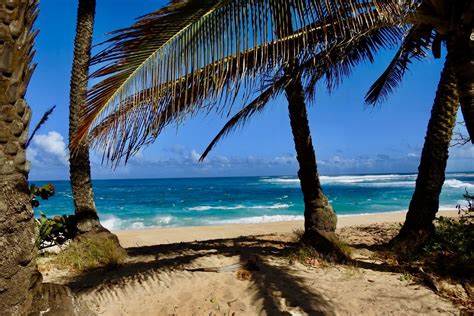 Exploring the North Shore of Oahu: A Surfing Paradise and Beach Getaway — North Shore Airport Rides