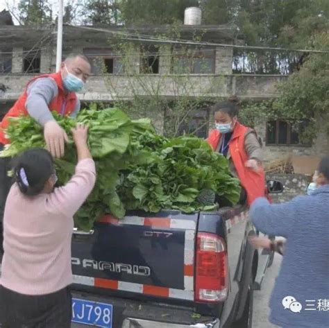 同心抗疫 • 三穗在行动 群众企业献爱心 捐赠物资抗疫情 杨光银 蔬菜 生活