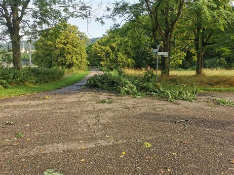 Kreis Lörrach Sturm hinterlässt Spur der Verwüstung Nachrichten