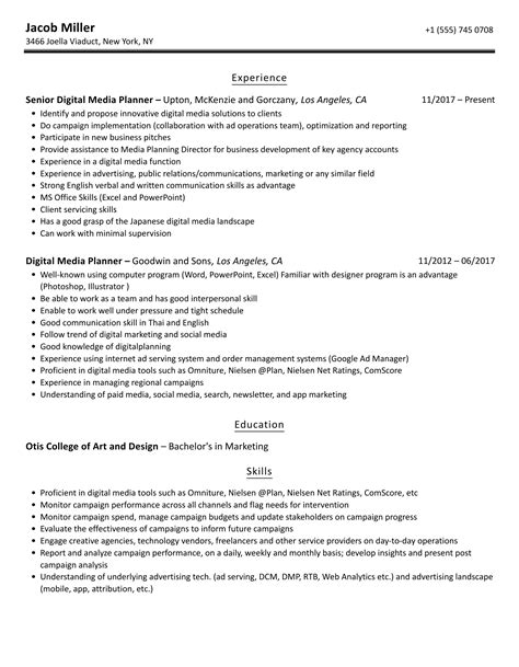 Digital Media Planner Resume Samples Velvet Jobs