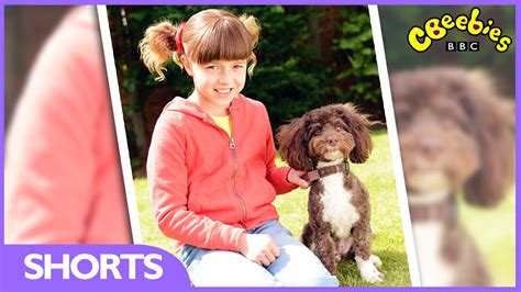 Cbeebies Topsy Meets Diy Dereks Dog Series 3 Youtube