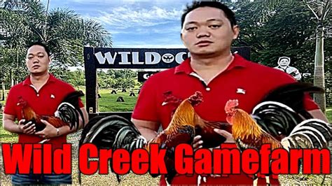 Lets Visit The Farm Of Wild Creek Gamefarm Youtube