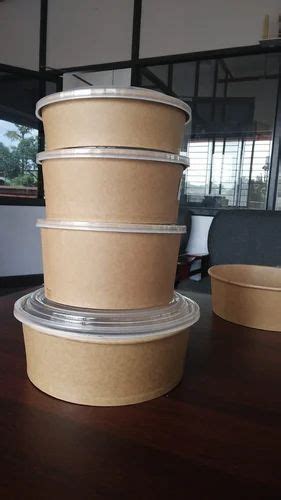 500ml Brown Kraft Paper Food Container At Rs 950piece Thrippunithura Kochi Id 2852857080262