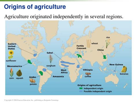 PPT - Origins of agriculture PowerPoint Presentation, free download ... 