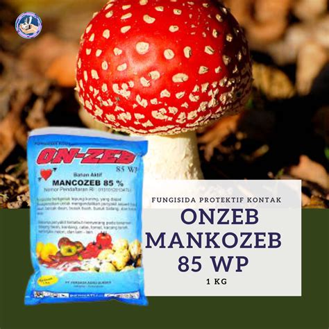 Fungisida Onzeb Mankozeb Wp Kg Fungisida Protektif Kontak