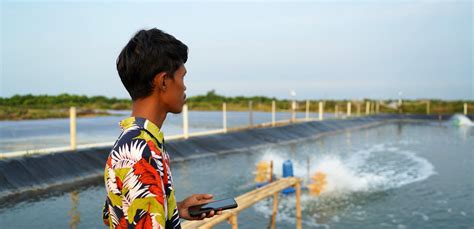 Peran Penting Teknisi Di Tambak Udang Jala Blog