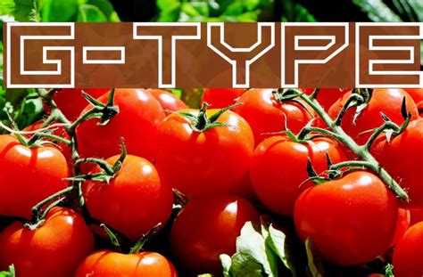 G-Type Font - FFonts.net