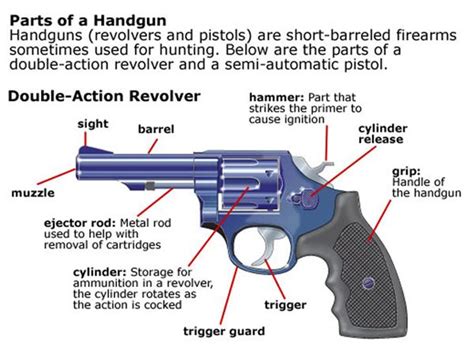 Parts Of Gun Diagram