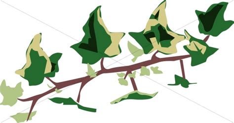 Christmas ivy clipart