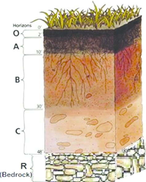 Soil Profile Model