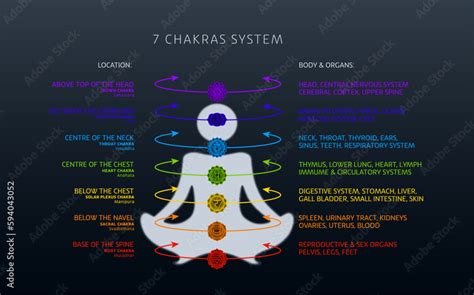 chakras system  related body parts info chart stock vector