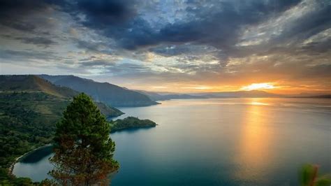 Danau Toba Penghasil Ikan Nila Terbesar Di Indonesia Dan Sudah