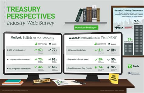 Treasury Perspectives Strategic Treasurer