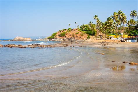 Beach in Goa, India stock photo. Image of ocean, seascape - 101365266