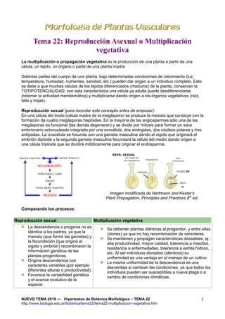 Reproduccion Vegetativa Pdf