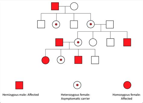 Figure B2 Pattern Of Inheritance For X Linked Recessive Download