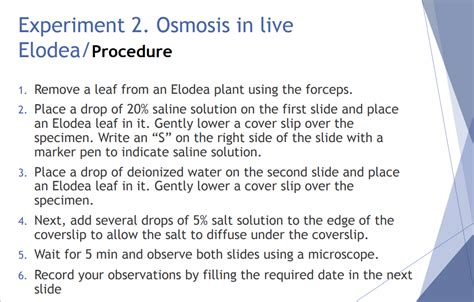 Solved Experiment 2. Osmosis in live Elodea/Procedure 1. | Chegg.com