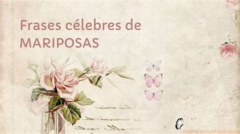 Las Mejores Frases C Lebres Sobre Mariposas Y Dise O