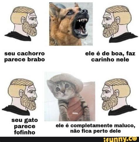 Seu cachorro ele é de boa faz parece brabo carinho nele seu gato